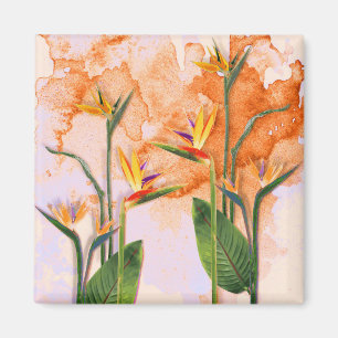 Birds of Paradise in Bloom Magnet
