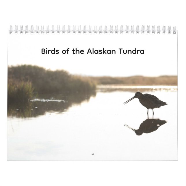Birds of the Alaskan Tundra Calendar Kalender (Titelbild)