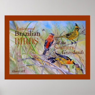 Birds of the Brazilian Grasslands Fine Art Poster