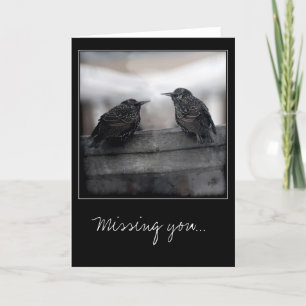 Birds on Missing You greeting card Karte