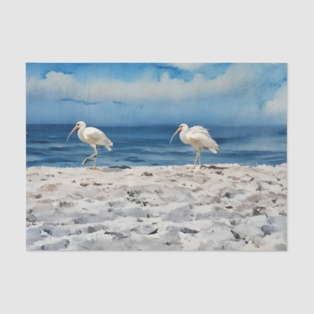 Birds on the Beach Tissue Paper Seidenpapier (Vorderseite)