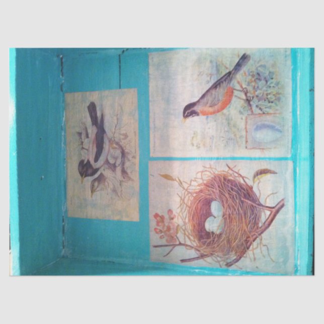 BIRDS TISSUE PAPIER 18 LB PAPIER (Vorderseite)