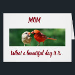 BIRDS TWEETING **MY MOM'S BIRTHDAY WISHES**<br><div class="desc">BIRDS WERE THE FIRST AND ARE THE BEST ***TWEETERS*** AND BEAT TWITTER BY A LONG SHOT SO ON SOMEONE'S ***YOUR MOM'S BIRTHDAY*** SEND OR GIVE THIS CARD TO SHOW HOW "SPECIAL **YOUR MOM** IS TO YOU" FOR YOU CHOSE A CARD THAT NOT ONLY IS A BIT "HIP" (lol) BUT IT...</div>