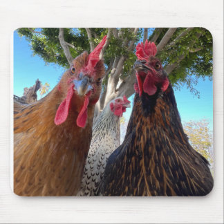 Birds with Attitude Mouse Pad Mousepad