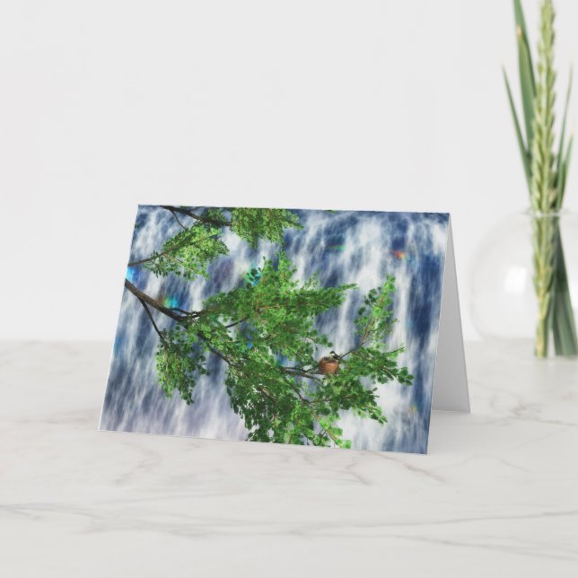 Birdsnest Falls Card Karte (Vorderseite)