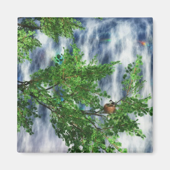 Birdsnest Falls Magnet (Vorne)