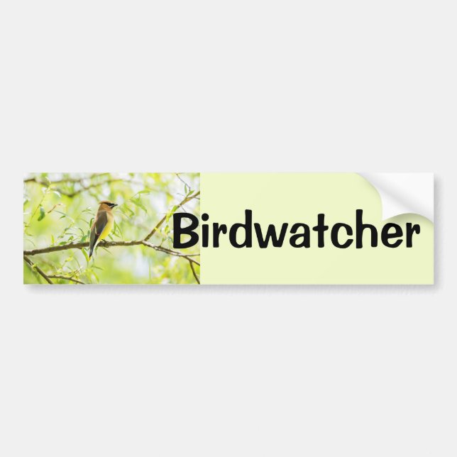 Birdwatcher Autoaufkleber (Vorne)