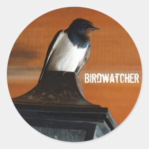 Birdwatcher Swallow Foto Classic Round Sticker