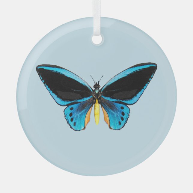 Birdwing Butterfly Ornament Aus Glas (Vorderseite)
