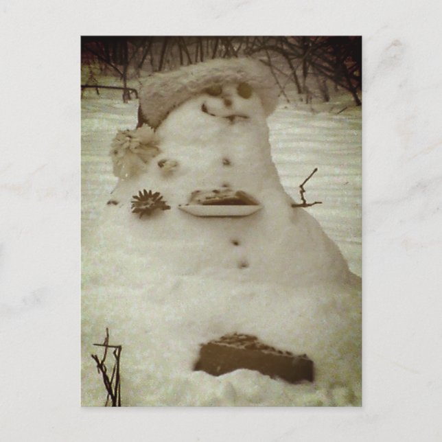 Birdy the Snowman Postkarte (Vorderseite)