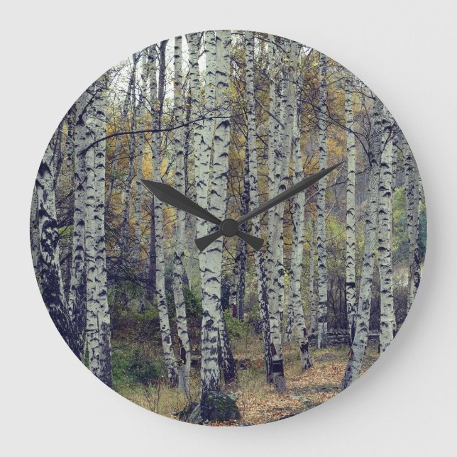 Birke Forrest Herbst-Foto-runde Wand-Uhr Große Wanduhr (Vorderseite)