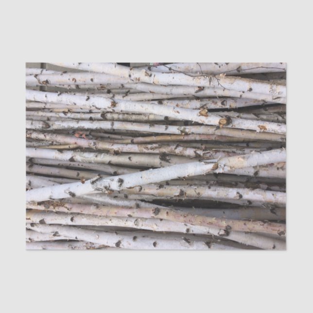 Birke Seidenpapier (Vorderseite)