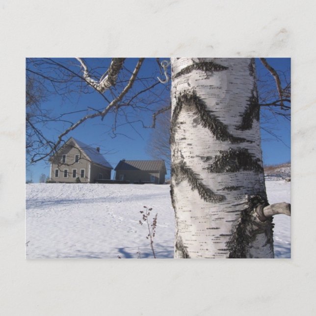 Birke und Zuhause Postkarte (Vorderseite)