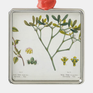 Birke (verlassen) und Mistelzweig (recht), Fig. 9 Silbernes Ornament