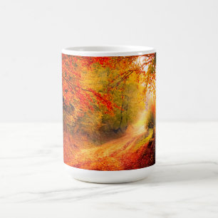 Birken Bäume Herbst Orange Blätter Landschaft Kaffeetasse