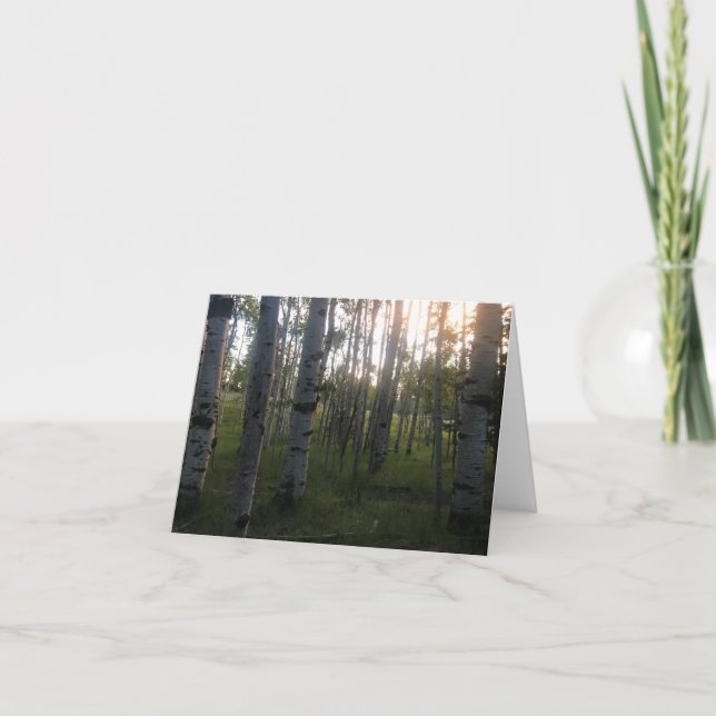 Birken morgens karte (Vorderseite)