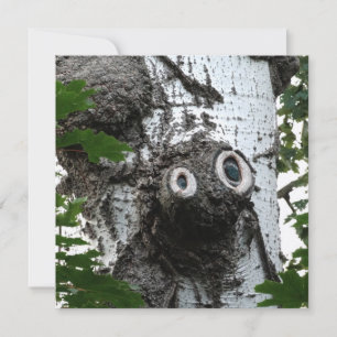 Birken-Seelen-Baum-Magie-Gesicht-Fotografie-Einlad Einladung