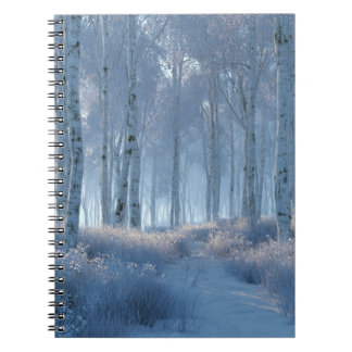 Birken-Strahlender-Schnee-Wald Notizblock