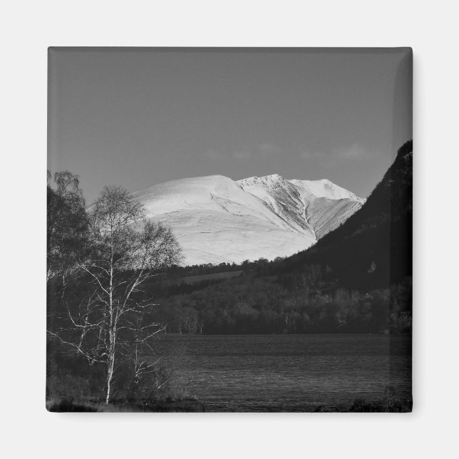 Birkenbaum und Blencathra Magnet (Vorne)