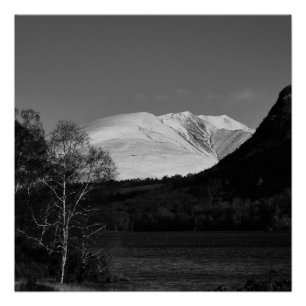 Birkenbaum und Blencathra Poster
