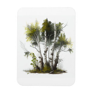 Birkenbäume, die Birken Nordirland Magnet