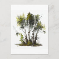 Birkenbäume, die Birken Nordirland