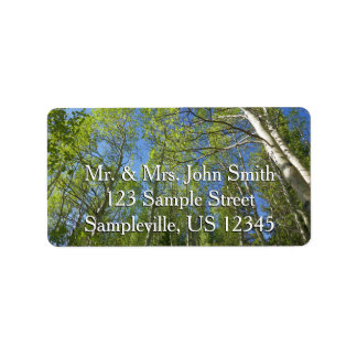 Birkenbäume im Rocky Mountain Adressaufkleber