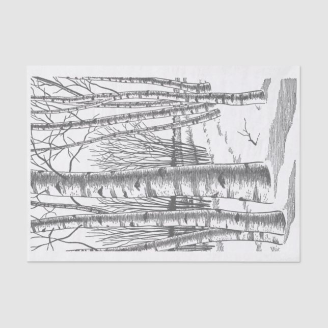 Birkenbäume im Winter Seidenpapier (Vorderseite)