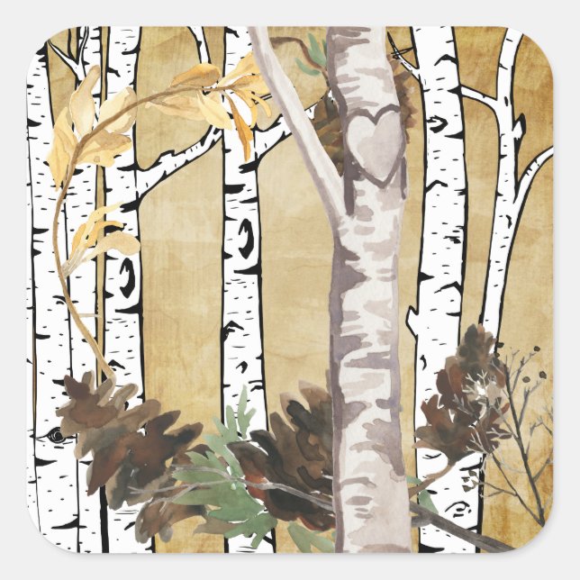 Birkenbäume und Kiefernknochenkleber Quadratischer Aufkleber (Vorderseite)