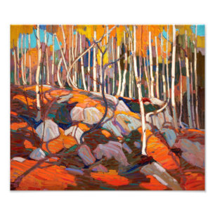 Birkenhain, Herbst Tom Thomson Fotodruck
