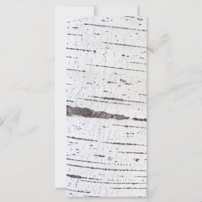 Birkenrinde (Vorderseite)