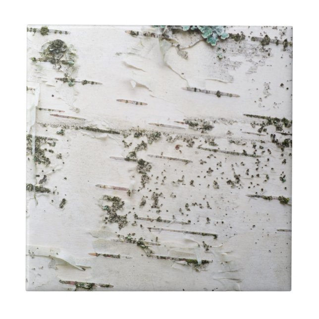 Birkenrinde Fliese (Vorderseite)