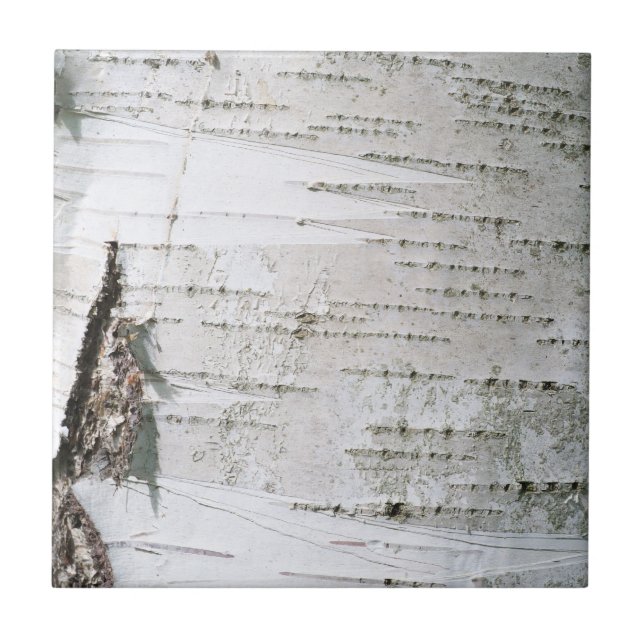 Birkenrinde Fliese (Vorderseite)