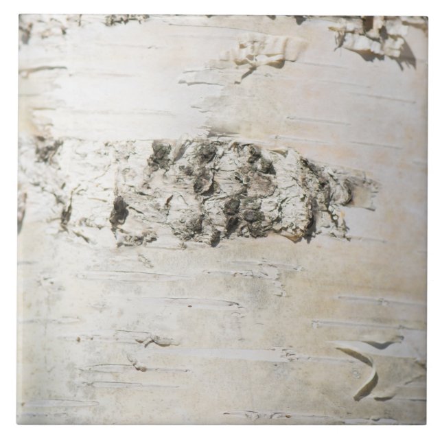 Birkenrinde Fliese (Vorderseite)