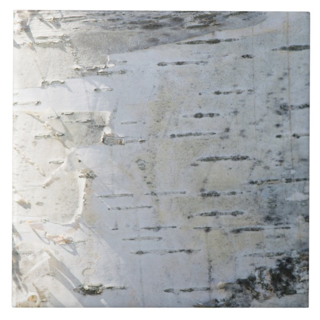 Birkenrinde Fliese (Vorderseite)