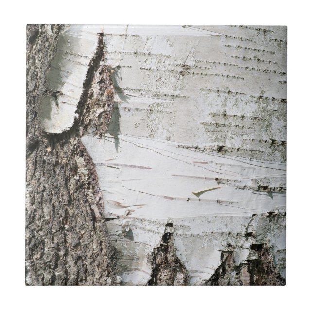 Birkenrinde Fliese (Vorderseite)