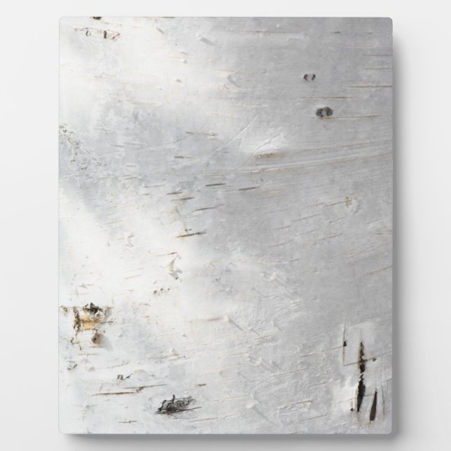 Birkenrinde Fotoplatte (Vorderseite)