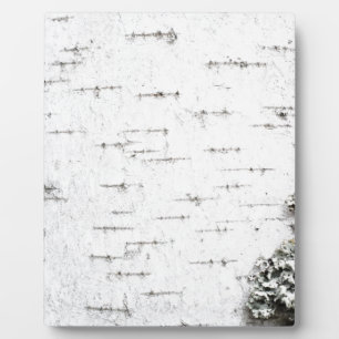 Birkenrinde Fotoplatte