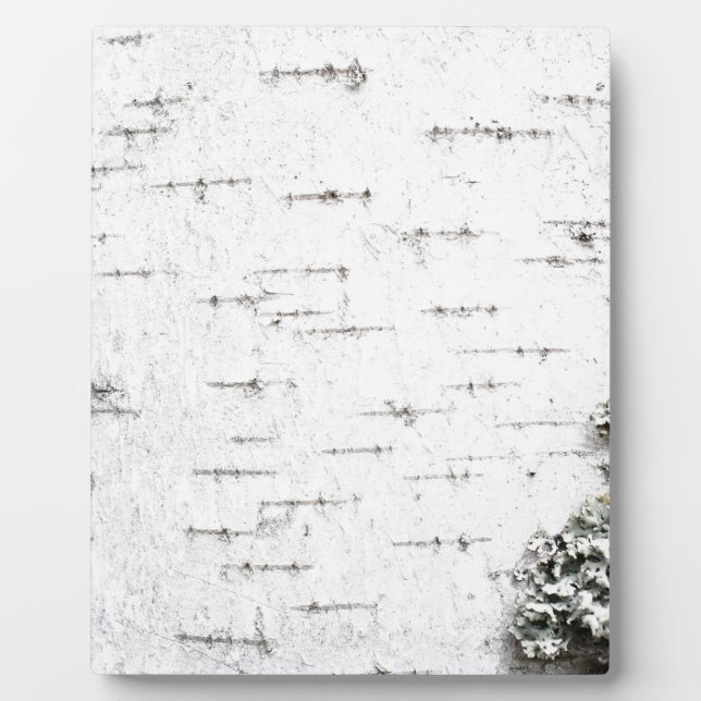 Birkenrinde Fotoplatte (Vorderseite)