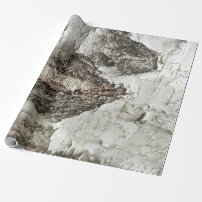 Birkenrinde Geschenkpapier (Ungerollt)