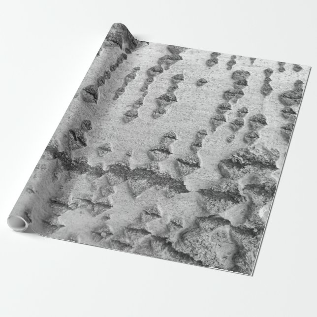 Birkenrinde Geschenkpapier (Ungerollt)