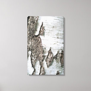 Birkenrinde Leinwanddruck