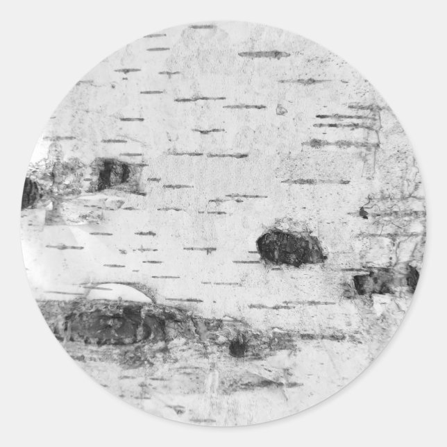 Birkenrinde-Muster klassischer Rundaufkleber Runder Aufkleber (Vorderseite)