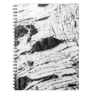 Birkenrinde Notizblock