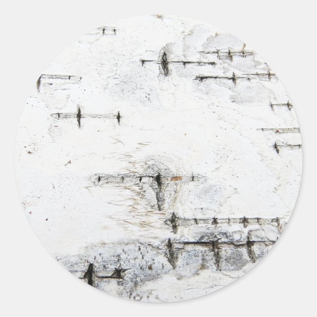 Birkenrinde Runder Aufkleber (Vorderseite)