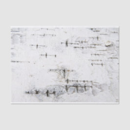 Birkenrinde Seidenpapier