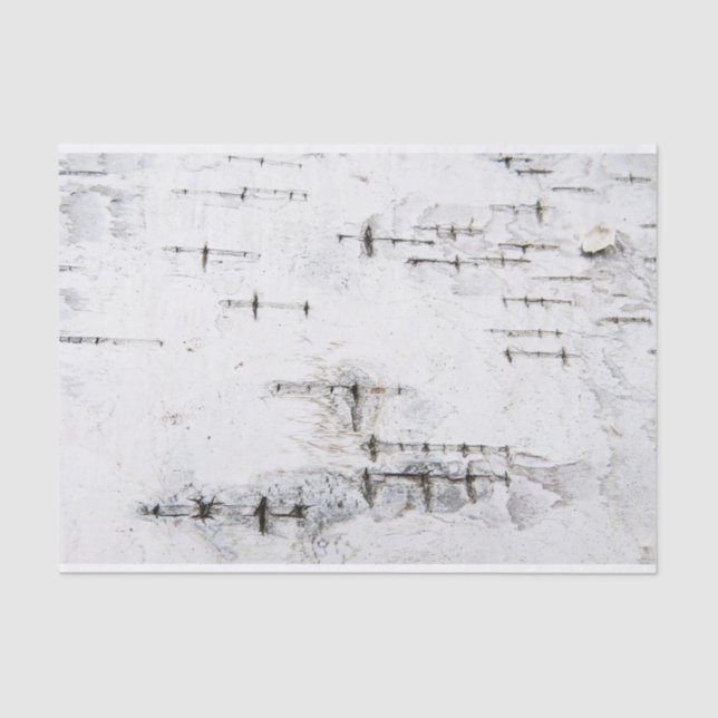 Birkenrinde Seidenpapier (Vorderseite)