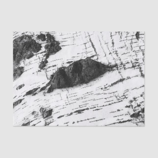 Birkenrinde Seidenpapier (Vorderseite)