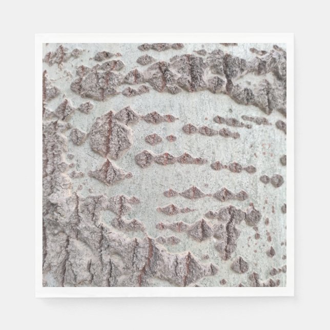 Birkenrinde Serviette (Vorderseite)