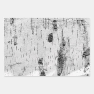 Birkenrinde-Verpackungsmuster Geschenkpapier Set